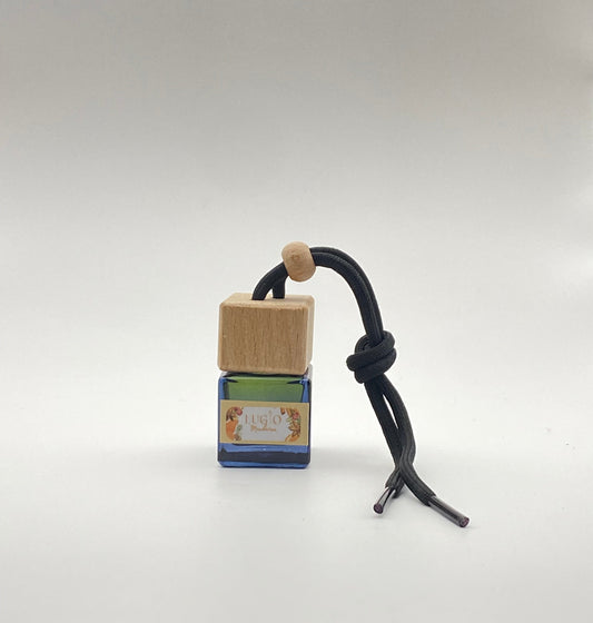 Diffuseur de voiture mandarine