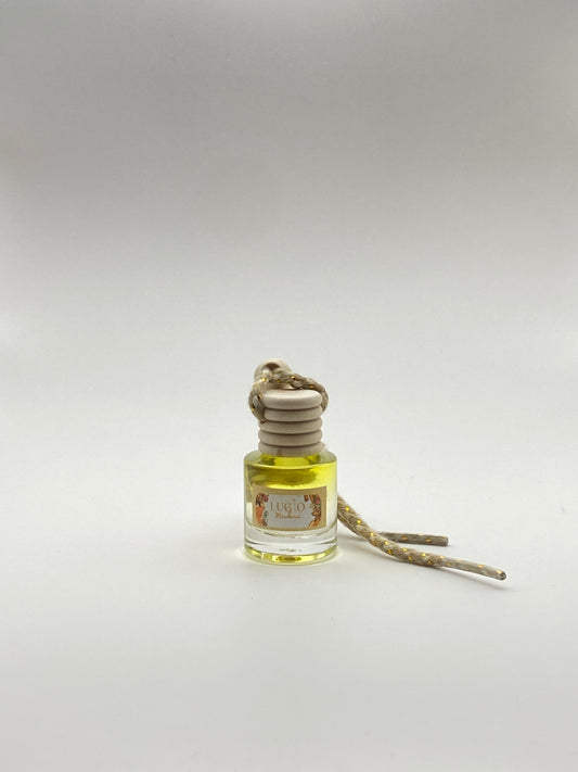 Diffuseur de voiture mandarine