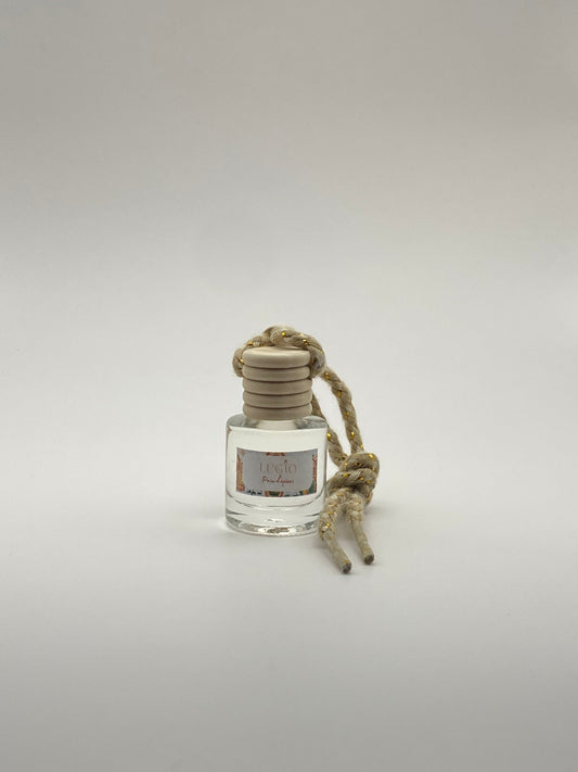 Diffuseur de voiture pain d'épices